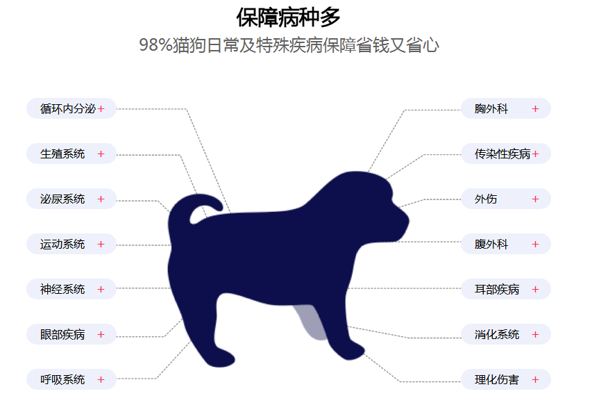 2023-2029全球及中国宠物猫保险行业研究市场调研报告
